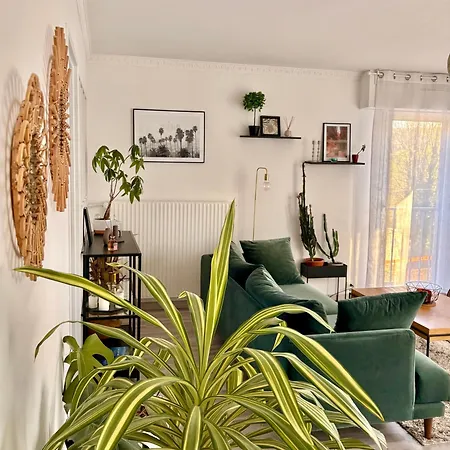 Appartement Centre Proche Chu