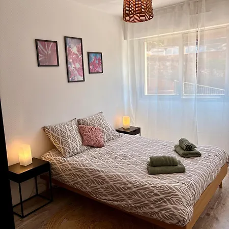 Διαμέρισμα Centre Proche Chu *