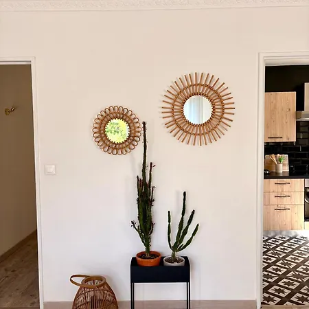 Appartement Centre Proche Chu