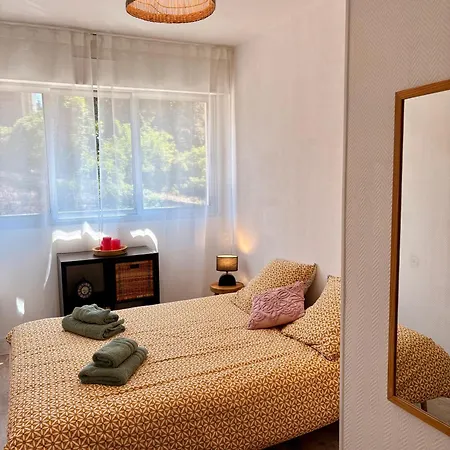 Appartement Centre Proche Chu *