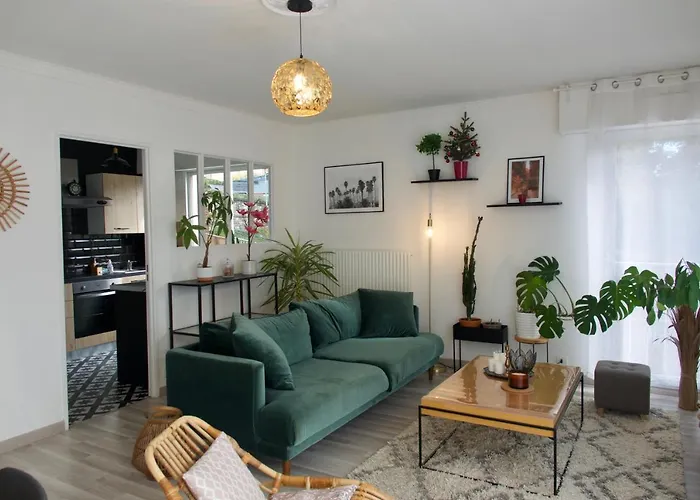 Appartement Centre Proche Chu