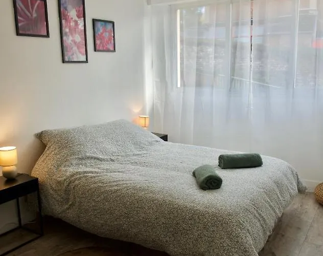 Appartement Centre Proche Chu