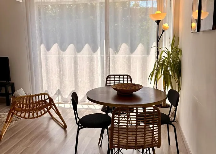 Appartement Centre Proche Chu *