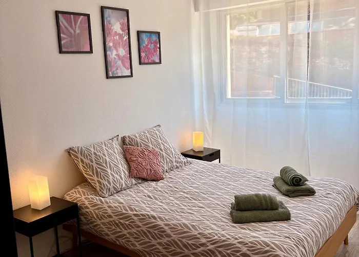 Appartement Centre Proche Chu *