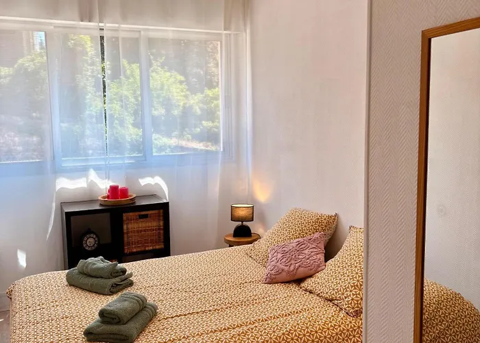 Appartement Centre Proche Chu *